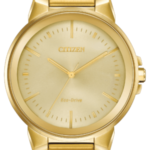 citizen axiom men's watch