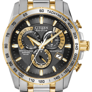 Citizen PCAT Men's Watch